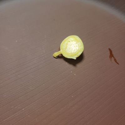 Qm2hy's profile picture. 25歳　北海道　男