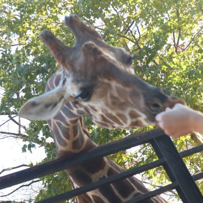 monmi1515's profile picture. たまに小言