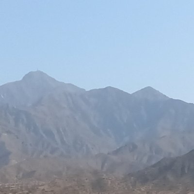 barhsam's profile picture. ALM