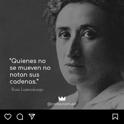 lobocuetlachtli's profile picture. 