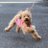 tommy_2828