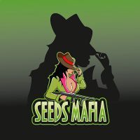 Seeds Mafia(@SeedsMafia) 's Twitter Profile Photo