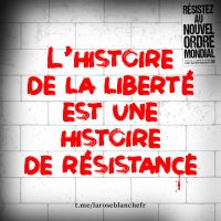 Christophe Perret🐞 (@christo14038705) 's Twitter Profile