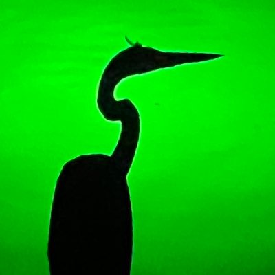 HTXlocalkid's profile picture. Pro Civil Rights. Pro Labor Unions. Walked a picket line. LBJ anateur historian.  Do not Support Density Housing. Suburbs Yes.  🇺🇸🏳️‍🌈💙 🌈🐕