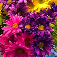 Julie (@julie_highered) 's Twitter Profile Photo