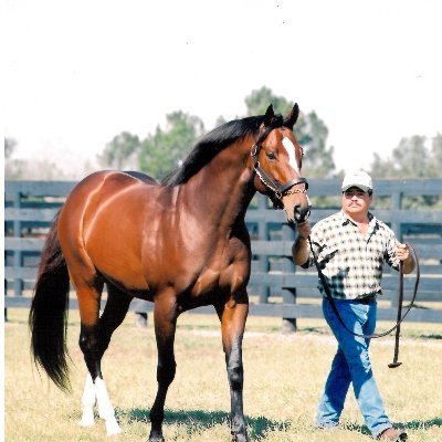 Official Twitter account for Bridlewood Farm in Ocala, FL