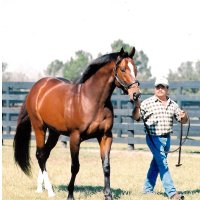 Bridlewood Farm (@bridlewoodocala) 's Twitter Profile