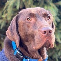 Barney (@barneybankside) 's Twitter Profile
