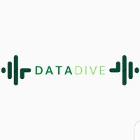 DataDive(@Unique_DataDive) 's Twitter Profile Photo