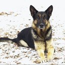 Michael Meissner - @mmeissner3 - Twitter