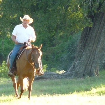 Mephites's profile picture. Ultra Giga Maga