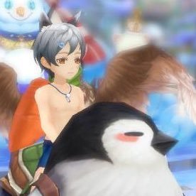 アシュテ 写真など