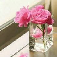 F (@fatimah_j73) 's Twitter Profile Photo