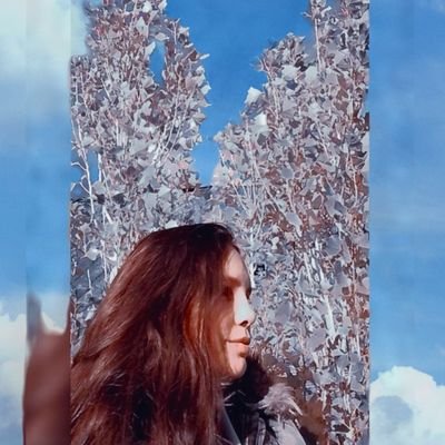 Micaelaさんのプロフィール画像