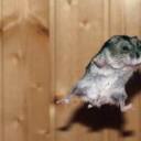 JIMI LOPEZ - @LOPEZJIMI - Twitter