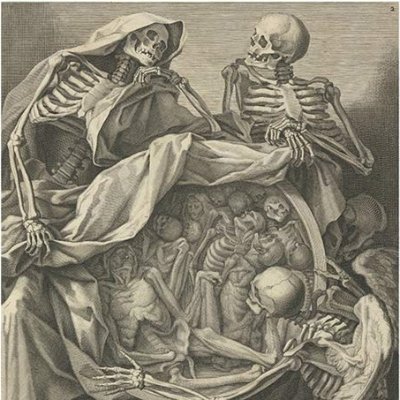 shontonga's profile picture. 