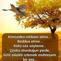 sebahat türkmen (@trkmntrkmn) 's Twitter Profile Photo sebahat türkmen (@trkmntrkmn) 's Twitter Profile Photo