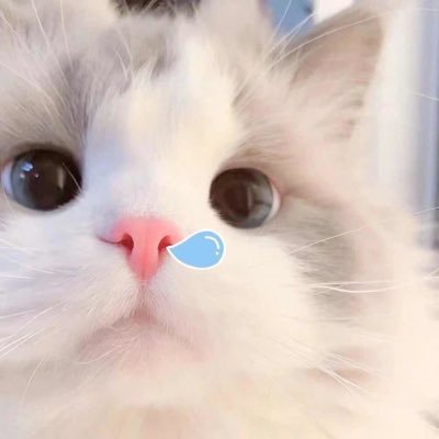 Sulkonn's profile picture. loveyonn！♡(⸝⸝› _ ‹⸝⸝)kira