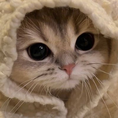 Tom8643664's profile picture. 