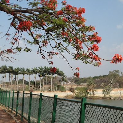 etihw_tep's profile picture. 