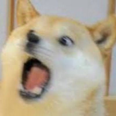 sooperflybug's profile picture. 