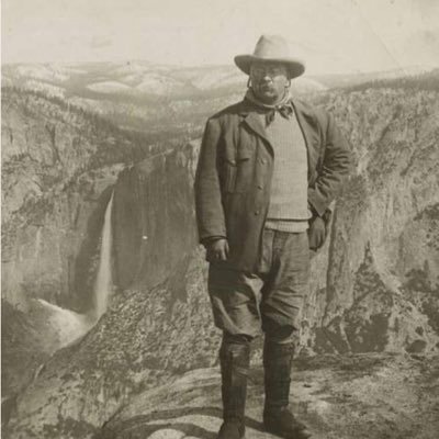 CarmoNFT's profile picture. 