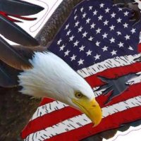 Martin (@uscfirst) 's Twitter Profile