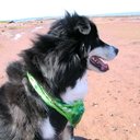 Deborah Berkeley - @ShalesBerkeley - Twitter