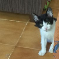 Meena Seville (@meenaseville) 's Twitter Profile Photo