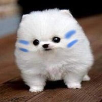 Wrecker (@wreckerjuice) 's Twitter Profile Photo