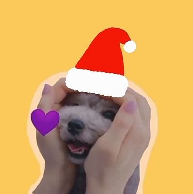 T1989801's profile picture. SNSD 9 | NYTAE | JET I| LINGORM|🤍💜🐢🐰