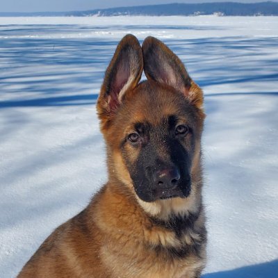 bbmbs1125's profile picture. 