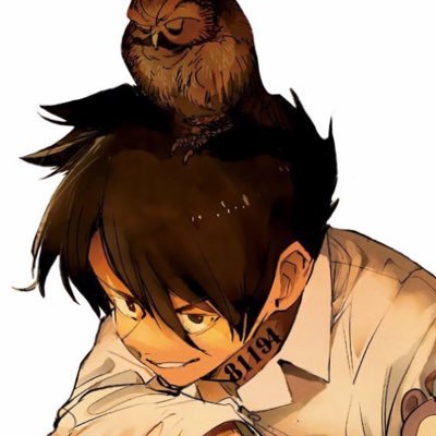 daily rayさんのプロフィール画像