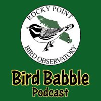 Bird Babble Podcast(@birdbabble1) 's Twitter Profile Photo