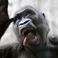 58Pappy (@58_pappy) 's Twitter Profile