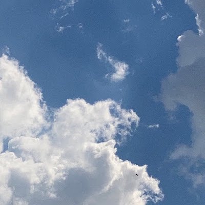 SananKabeer's profile picture. 