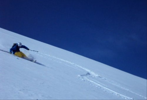 PowderSkiFun's profile picture. 