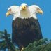 Howard Wagner (@howardw47255768) Twitter profile photo Howard Wagner (@howardw47255768) Twitter profile photo