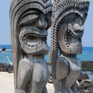 TDotsanderson's profile picture. Age group long course triathlete