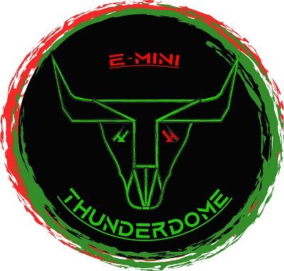 EmiThunderdome's profile picture. 37+ years of futures trading experience with 2 years as an assistant cash pit trader “orange jacket” on the floor of BM&FBOVESPA  exchange