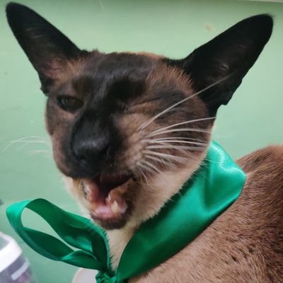 Susi_Mae_'s profile picture. she/her