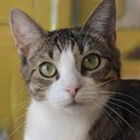 Kerry Hobbs - @KerryHo77753583 - Twitter