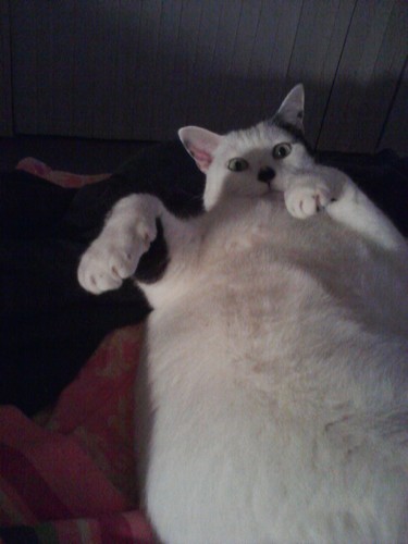 talula_24's profile picture. Yep, I finally did it.