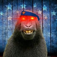 James (Alpha Monkey)(@funkeymonkey83) 's Twitter Profile Photo