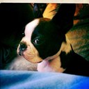 Steven Singleton - @docsing - Twitter