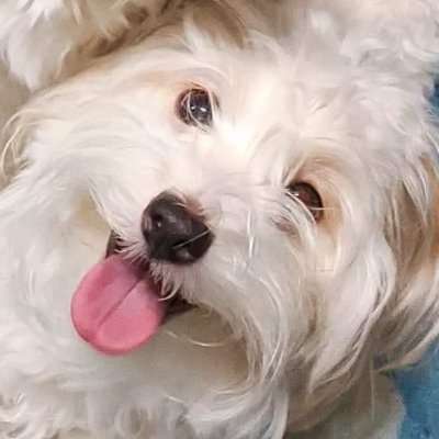 felarca06's profile picture. https://t.co/BYMF5Mk339 Not your keys, not your crypto. Not in your name, not your shares. $GME $LRC $IMX $ETH