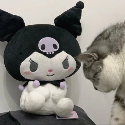 PentaQ 유은 Profile