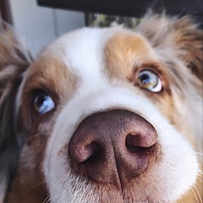 randommtrp's profile picture. 