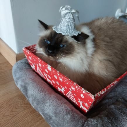 FailMD4's profile picture. 