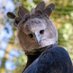 CallMeLad (@vlad_lapwing) Twitter profile photo CallMeLad (@vlad_lapwing) Twitter profile photo